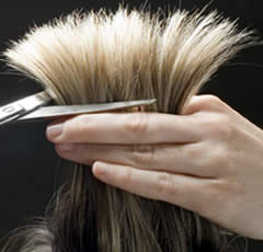 Hair Styling Services Oconomowoc
